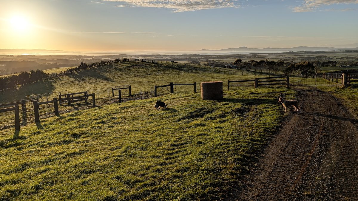 Green hillside paddocks with timber fences and a hay bale at sunrise, looking out over the coast.